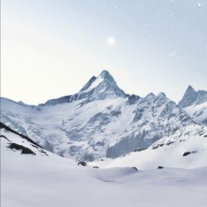 Meet your Posher, Fabiola